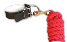 Single Laydown Hobble and Red Cotton Lead